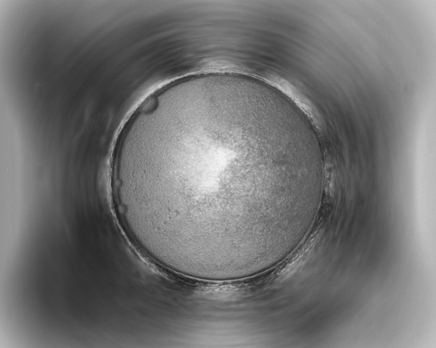 X0000096401094200801241156