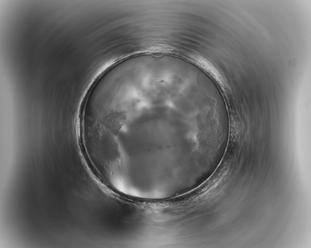 X0000096401095200801241156