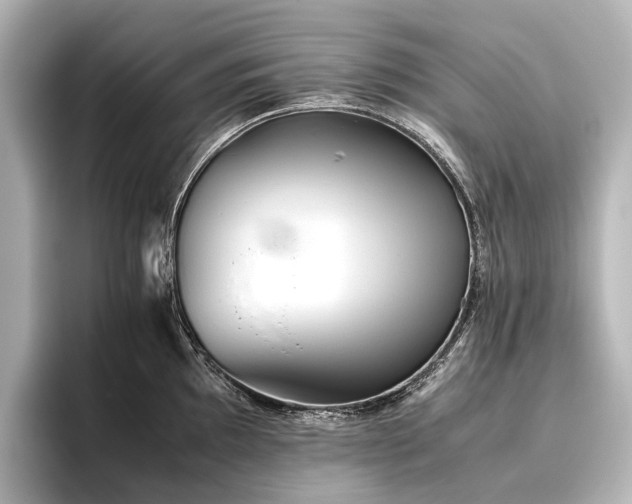 X0000096401097200801241156