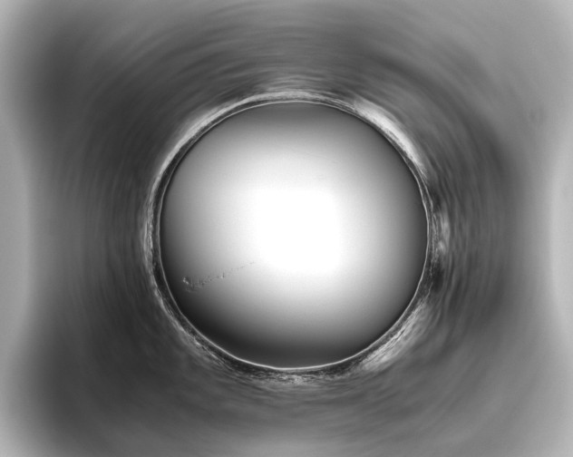 X0000096401101200801241156