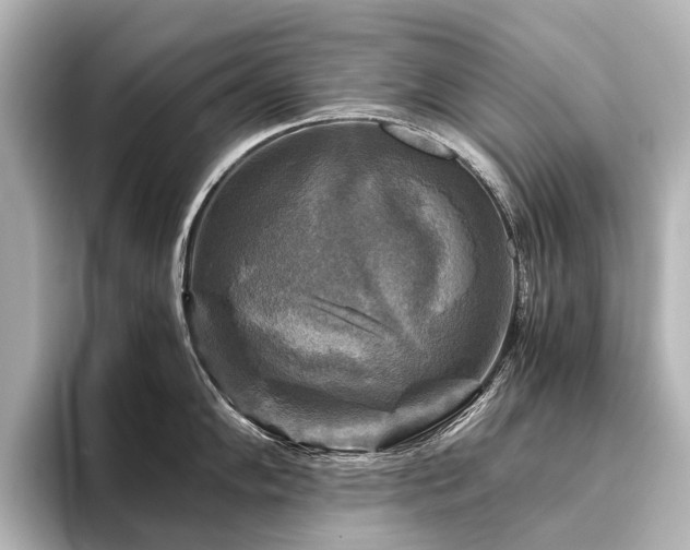 X0000096401102200801241156