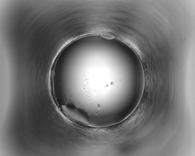 X0000096401103200801241156