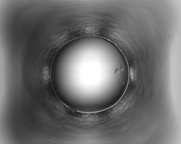 X0000096401107200801241155