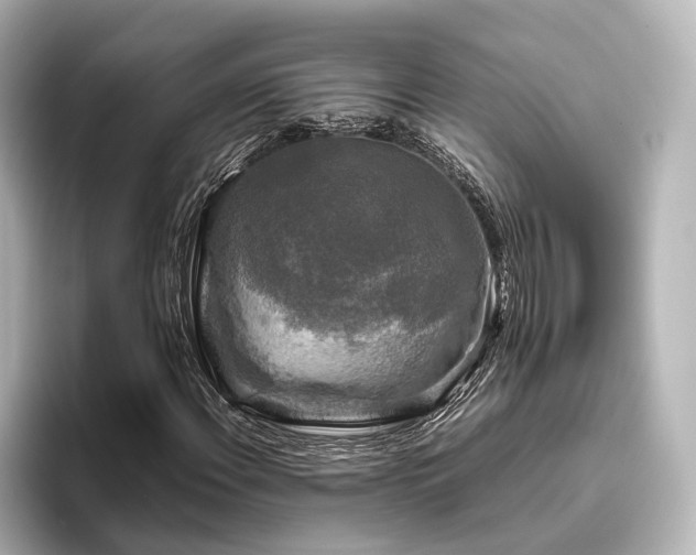 X0000096401108200801241155