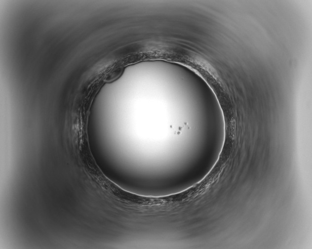 X0000096401111200801241155