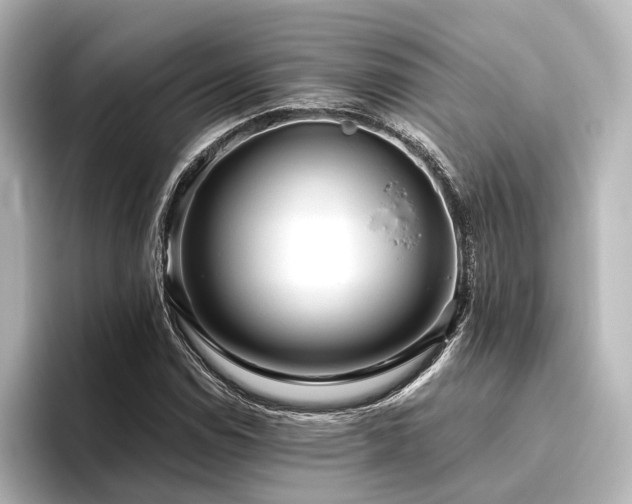 X0000096401114200801241155