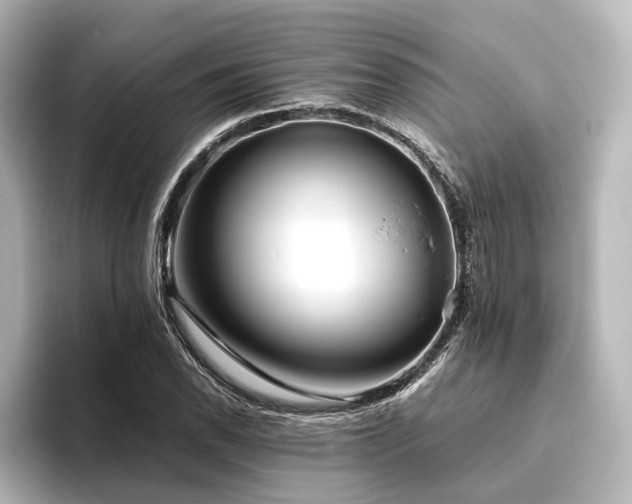 X0000096401118200801241155