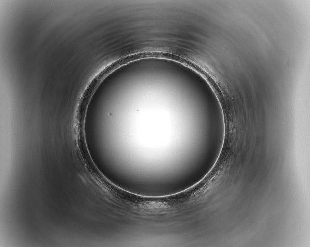 X0000096401119200801241155