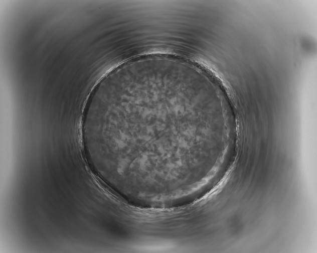 X0000096401121200801241155