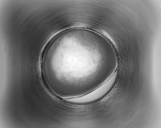 X0000096401124200801241155