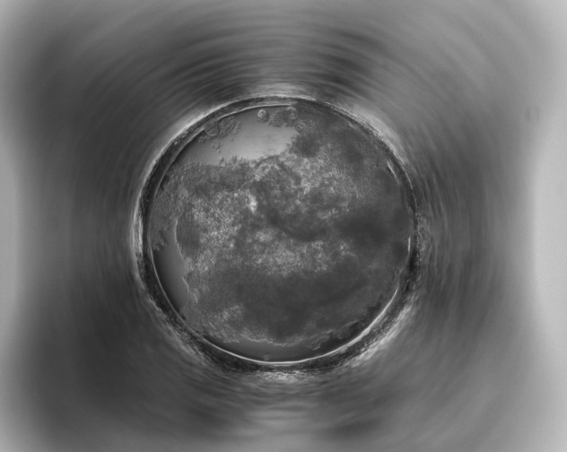 X0000096401125200801241155