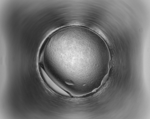 X0000096401132200801241155