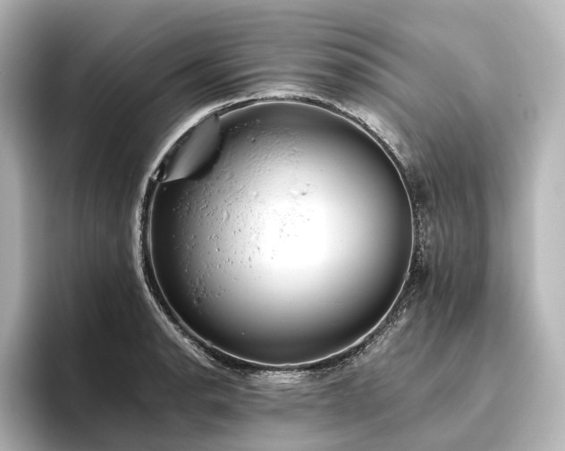 X0000096401134200801241155