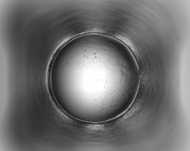 X0000096401135200801241155