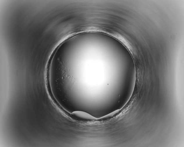 X0000096401142200801241155