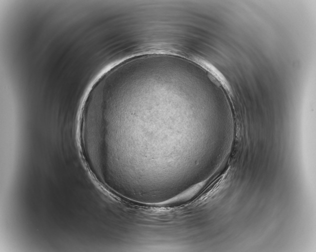 X0000096401144200801241155