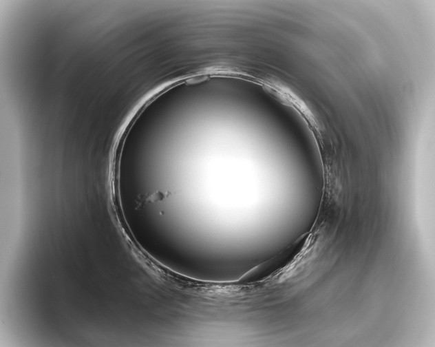 X0000096401148200801241155