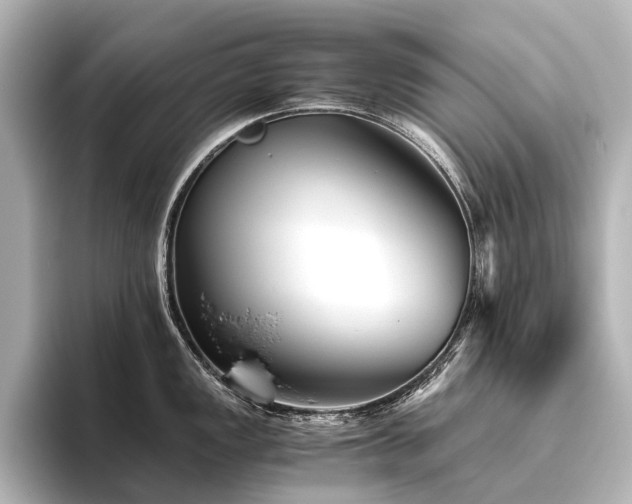 X0000096401149200801241155