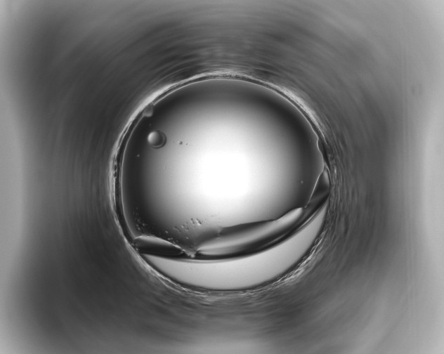 X0000096401151200801241155