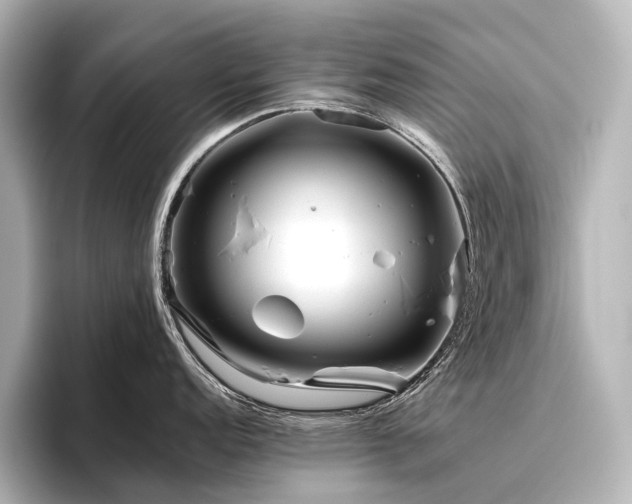 X0000096401152200801241156