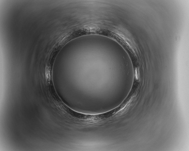 X0000096401155200801241155