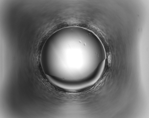 X0000096401157200801241155