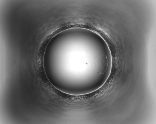 X0000096401159200801241155