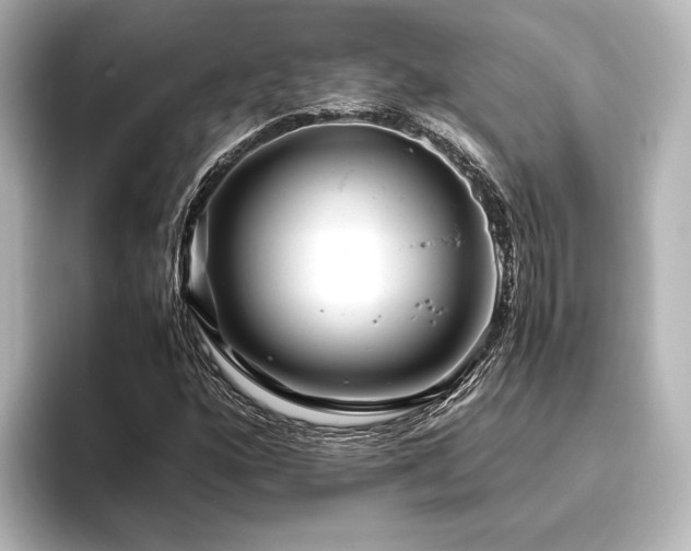 X0000096401160200801241155