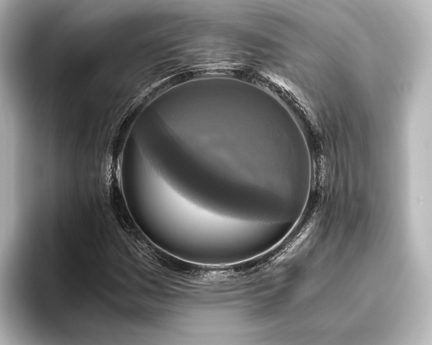 X0000096401161200801241155