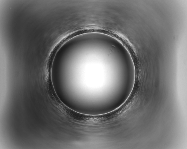 X0000096401167200801241155