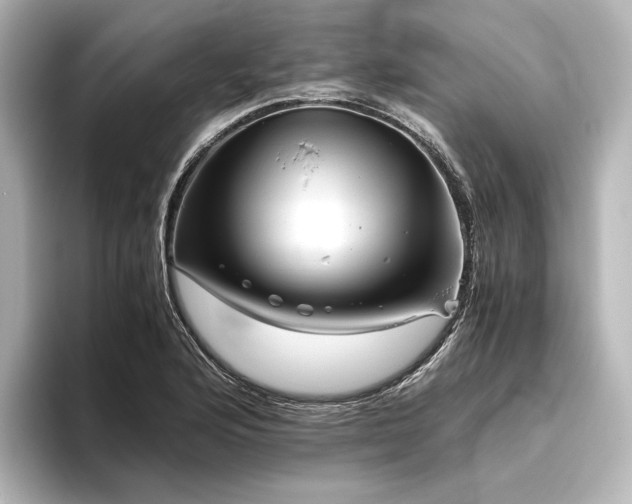 X0000096401176200801241155