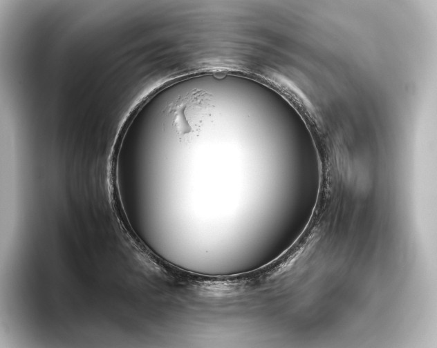 X0000096401182200801241155