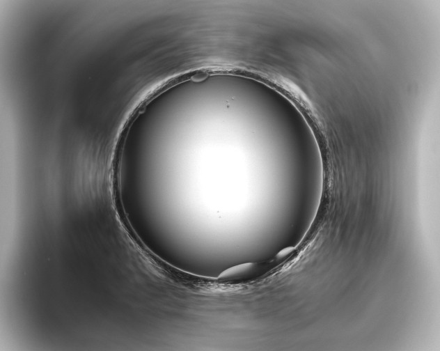 X0000096401183200801241154