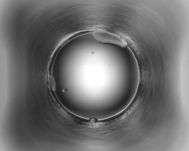 X0000096401184200801241154