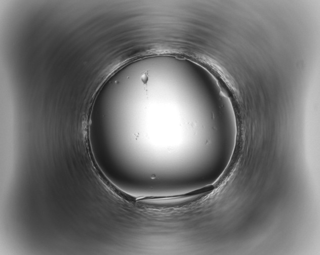 X0000096401185200801241154