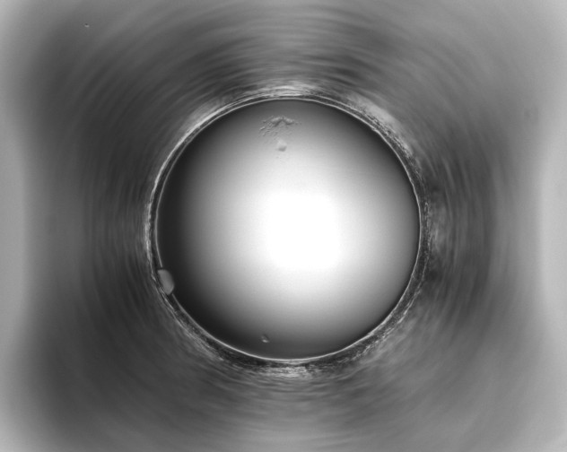 X0000096401186200801241154