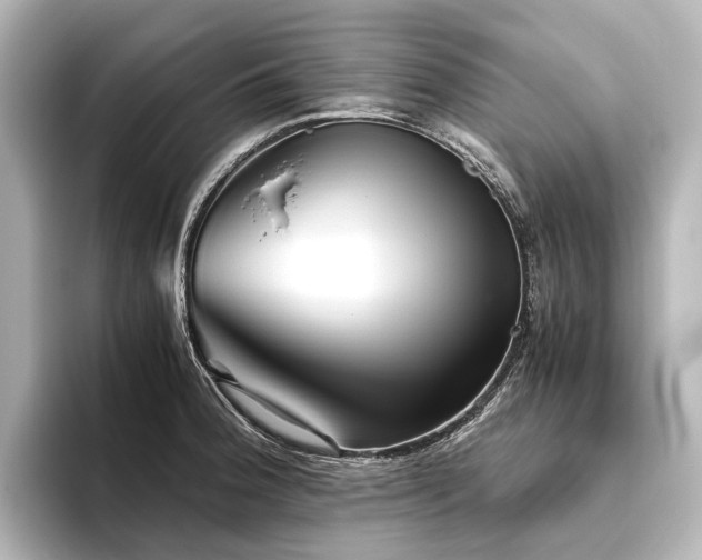 X0000096401188200801241154