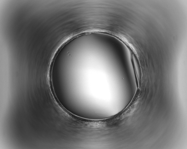 X0000096401189200801241154