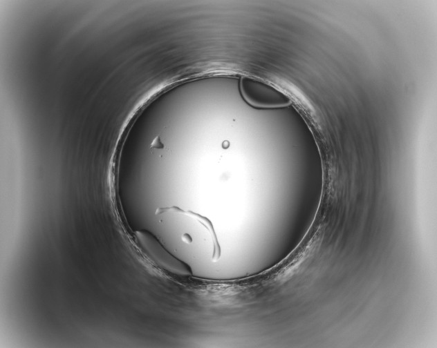 X0000096401190200801241154