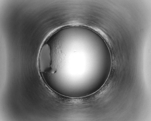 X0000096401191200801241154