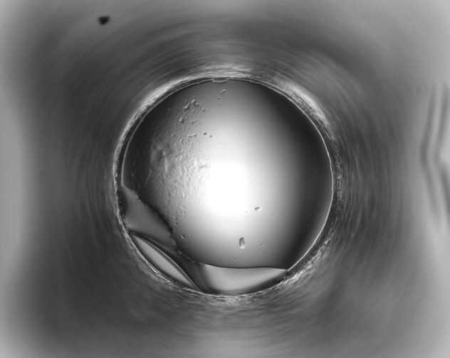 X0000096401192200801241154