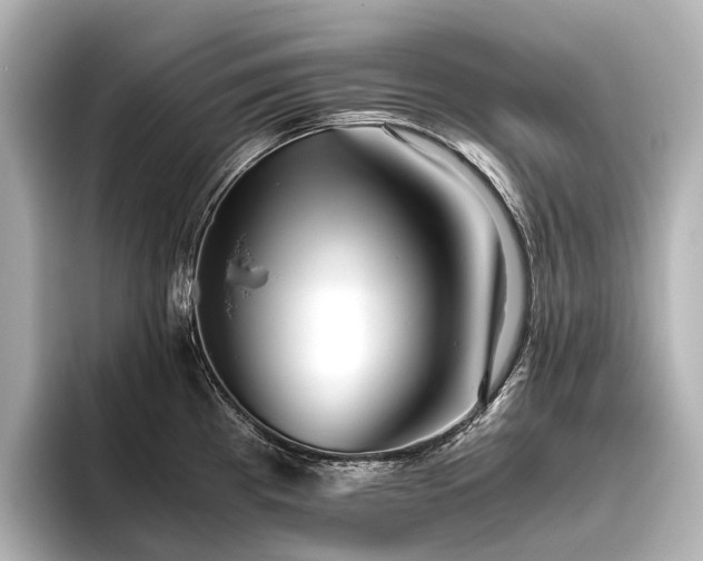 X0000096401193200801241154