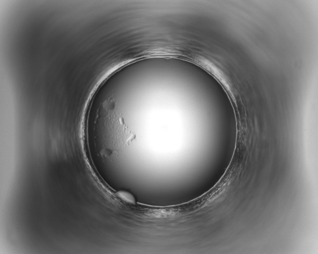 X0000096401195200801241154