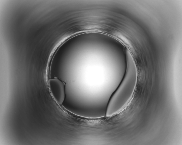 X0000096401196200801241154