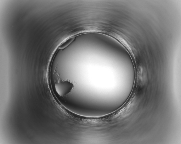 X0000096401197200801241154