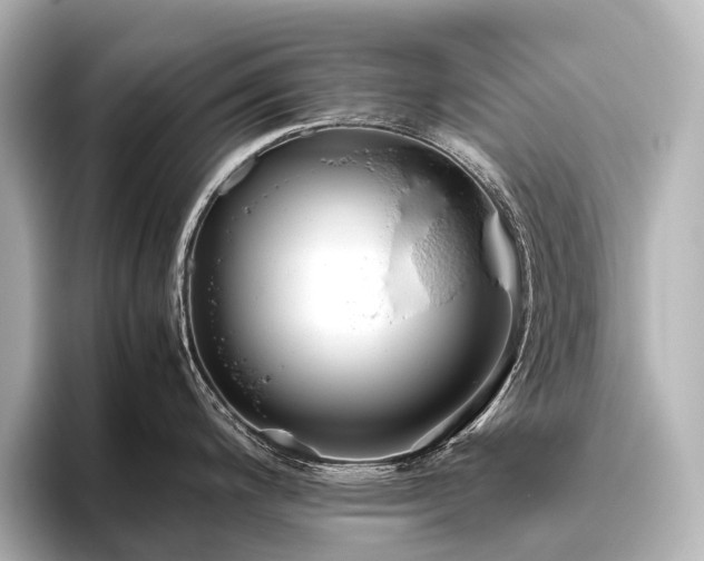 X0000096401200200801241154