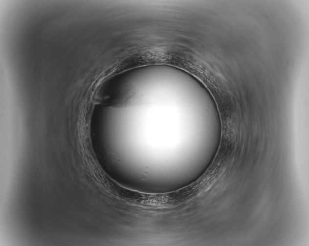 X0000096401201200801241154