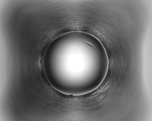 X0000096401202200801241154