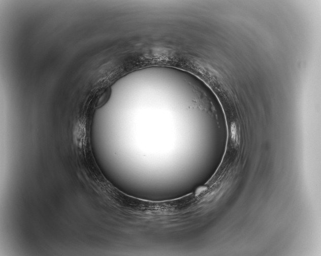 X0000096401203200801241154