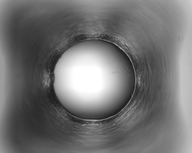 X0000096401204200801241154